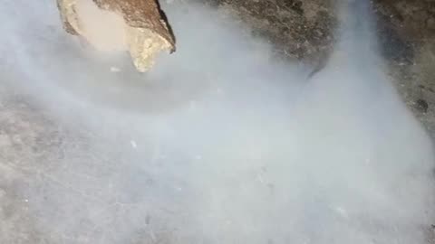 The ghost is my house funny