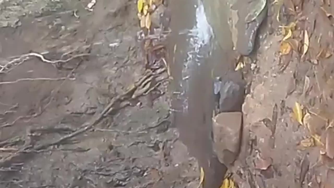 Short funni video #musti bhari chij