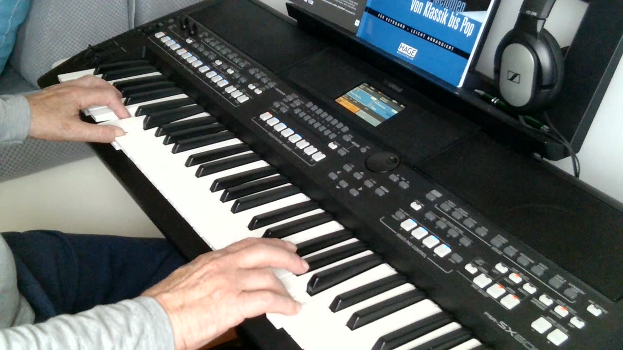 Monja (Die Flippers) cover by Henry, Yamaha PSR SX600