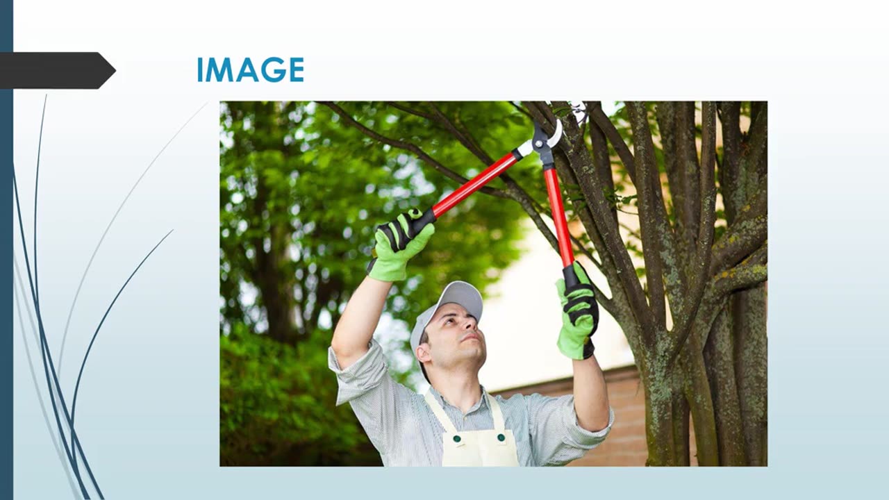 Best Tree Pruning in Wade Heads