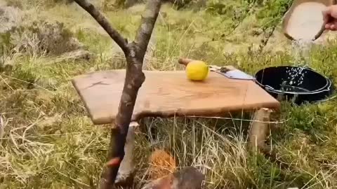 Cooking in nature