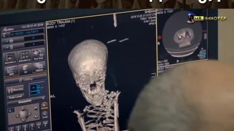Nubian pharaoh mummy found in Egypt