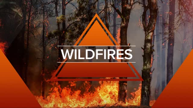 California Wildfires_ Mosquito, Fairview fires prompt state of emergency