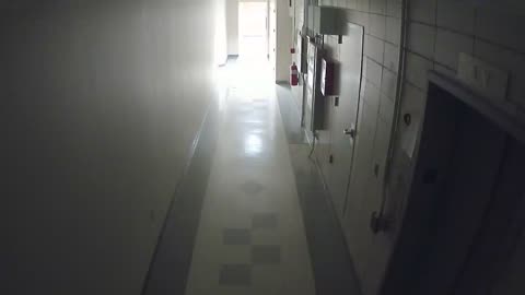 8801VZN01Elevator_2021-01-05_15h40min01s503ms.mp4