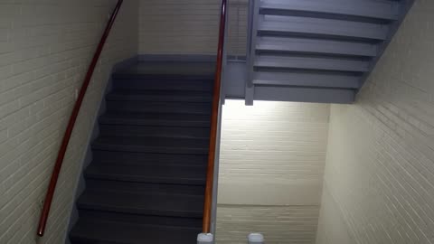 3874FHOB03Stair1_2021-01-05_02h40min00s437ms.mp4