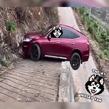 👀💹Trading Cryptos Can Be Riskier Than This😆🚀🟢 #cryptocurrency #crypto #cardano #hosky #Hoskymeme