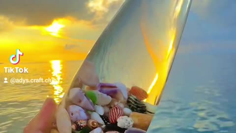 Sea Shell Craft | Colourful Seashells