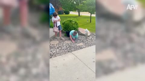 Best fail of the week