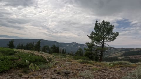 [MTB] Scott Peak Summit (Tahoe City, CA)