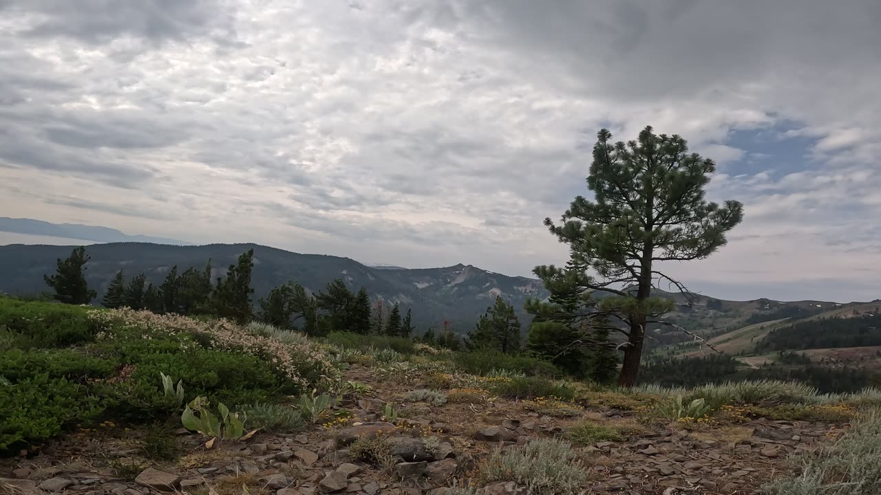 [MTB] Scott Peak Summit (Tahoe City, CA)
