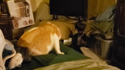 Sweeeepy Sleeeeep time!