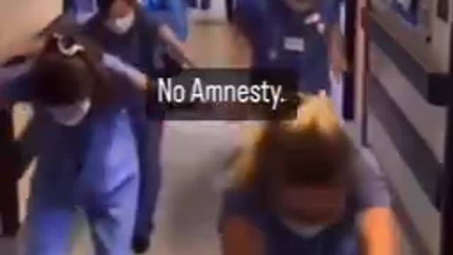 No Amnesty