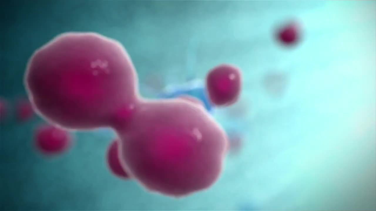 Immune System Response Animation