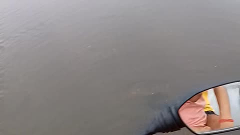 Flood in bihar