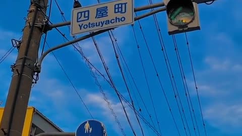 Vibes Japan #8