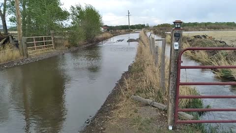Flooding at the new house