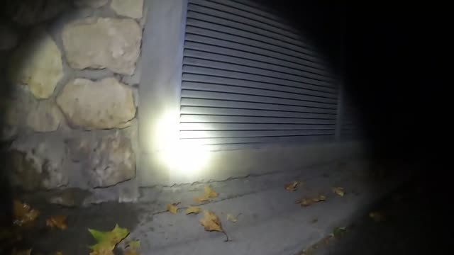 2022-08-26 (3) - La femme du sous-sol - Twitch (clip)