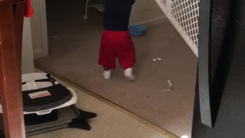 Baby Gate Fail