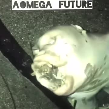 THE UNDERGROUND has so many creatures we havent seen. Demons