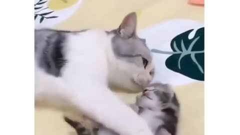 Milota😍😍😍😍😍😍😍