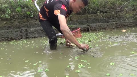 Exciting Fishing: Using a Big Pump to Absorb Water In An Abandoned Fish Pond, Catch Many Fish Ep11