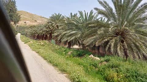 Jordan .Northern Jordan Valley