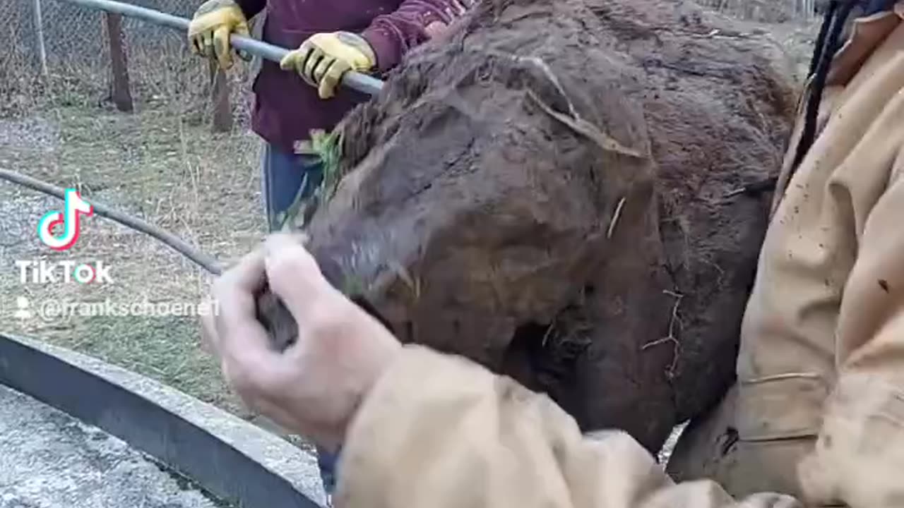 long way down (coal mine shaft)