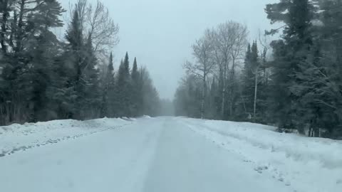 North from Grand Marais, Minnesota on the Gunflint Trail through the ancient white pine gateway.