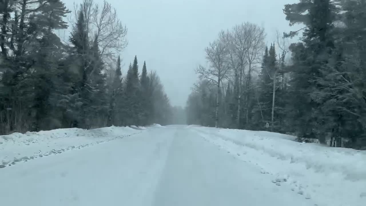 North from Grand Marais, Minnesota on the Gunflint Trail through the ancient white pine gateway.