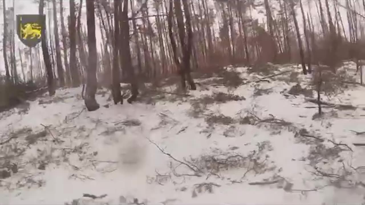 New Footage of a Battle in the Forests of Kharkiv Region