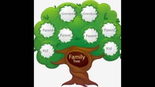 Family Members - L4 - English for Beginners