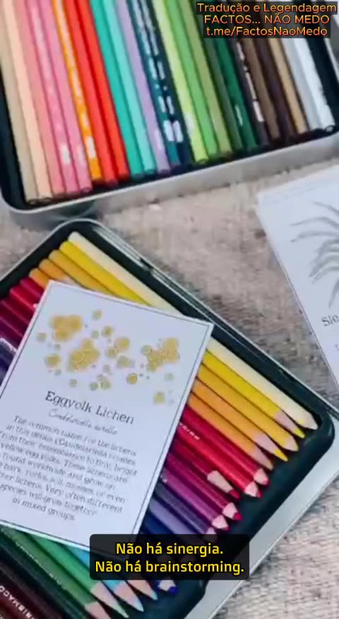 🔥O SISTEMA ESCOLAR É CRIMINOSO🔥