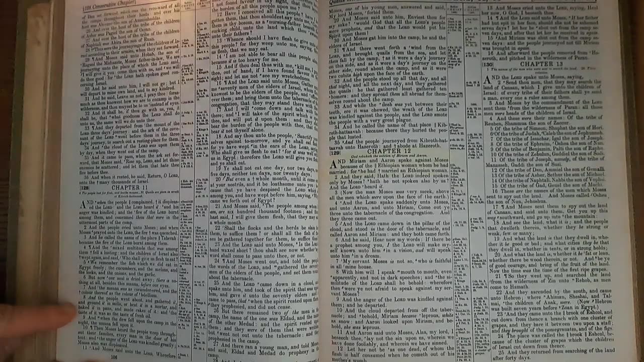 Numbers 11