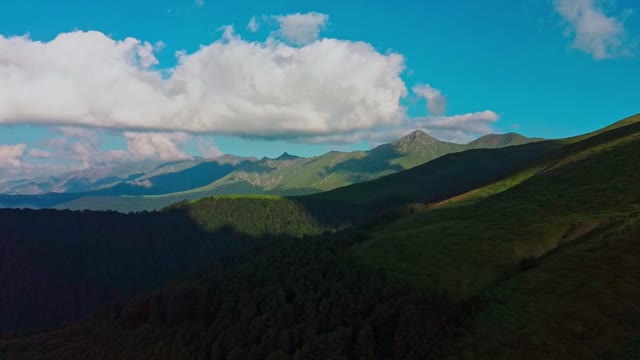 Drone captures stunning view of forest