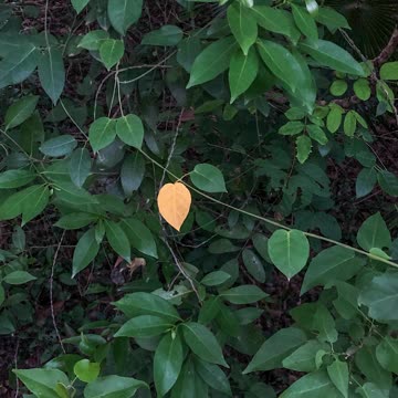 5 REASONS YOU'RE SPECIAL