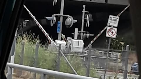 The Train Is Coming!