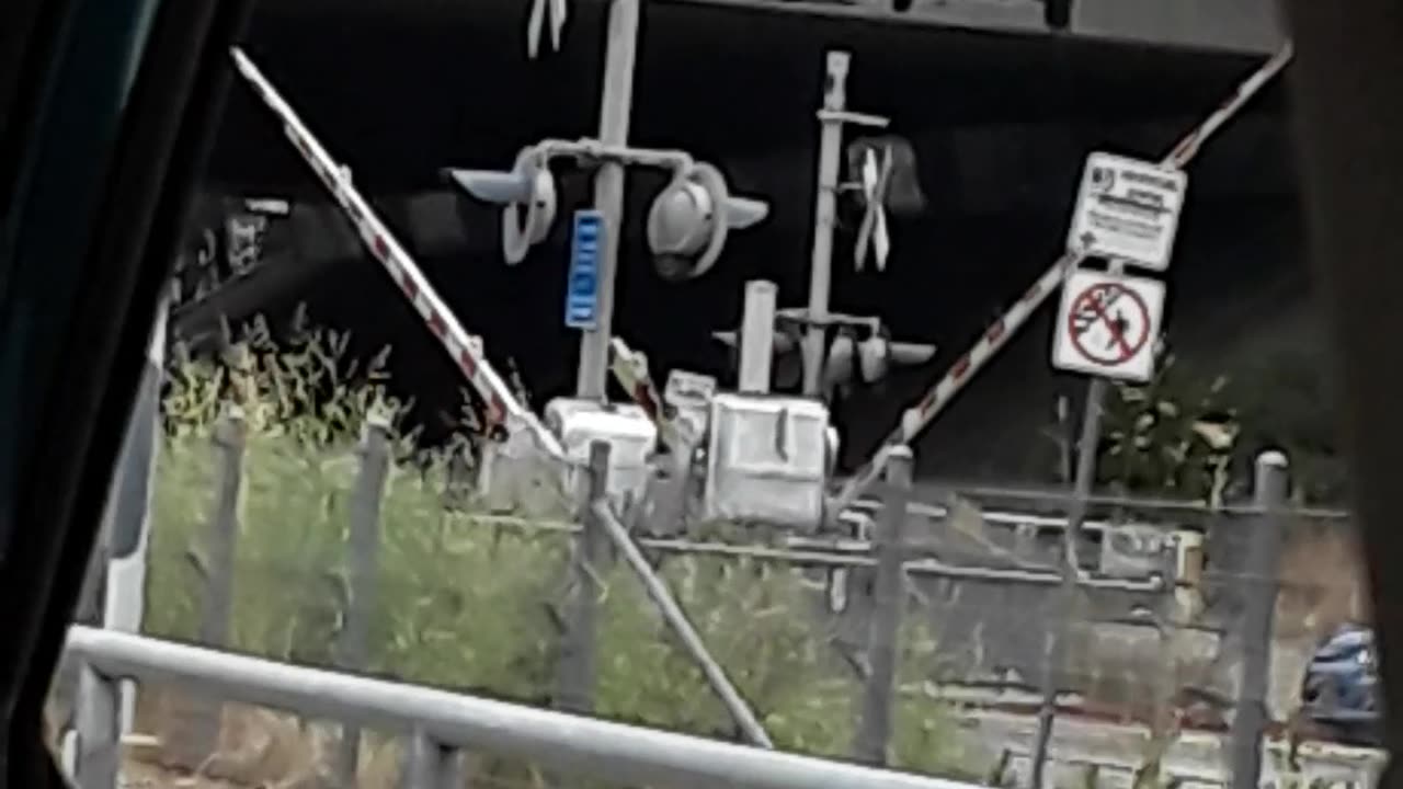 The Train Is Coming!