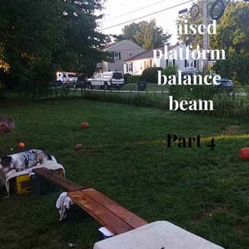 Ruff Cut PodCast: Raised Platform and Balance Beam part 4 cut 6