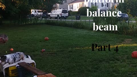 Ruff Cut PodCast: Raised Platform and Balance Beam part 4 cut 6