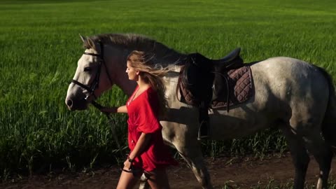 Young beautiful woman lead walk with a white horse on the green field