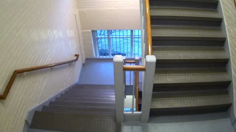 3896FHOB05Stair8_2021-01-05_07h18min30s607ms.mp4