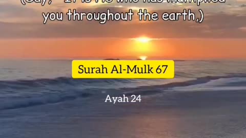 Surah Al-Mulk Ayah(24)[سورت الملک]Beautiful recitation|Urdu English Translation #quranrecitation