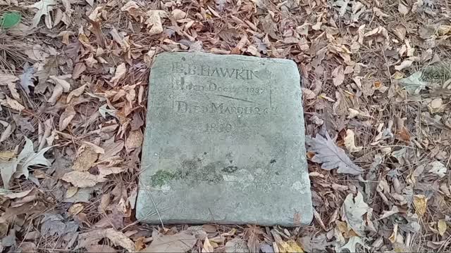 Unknown cemetery in Kisatchie