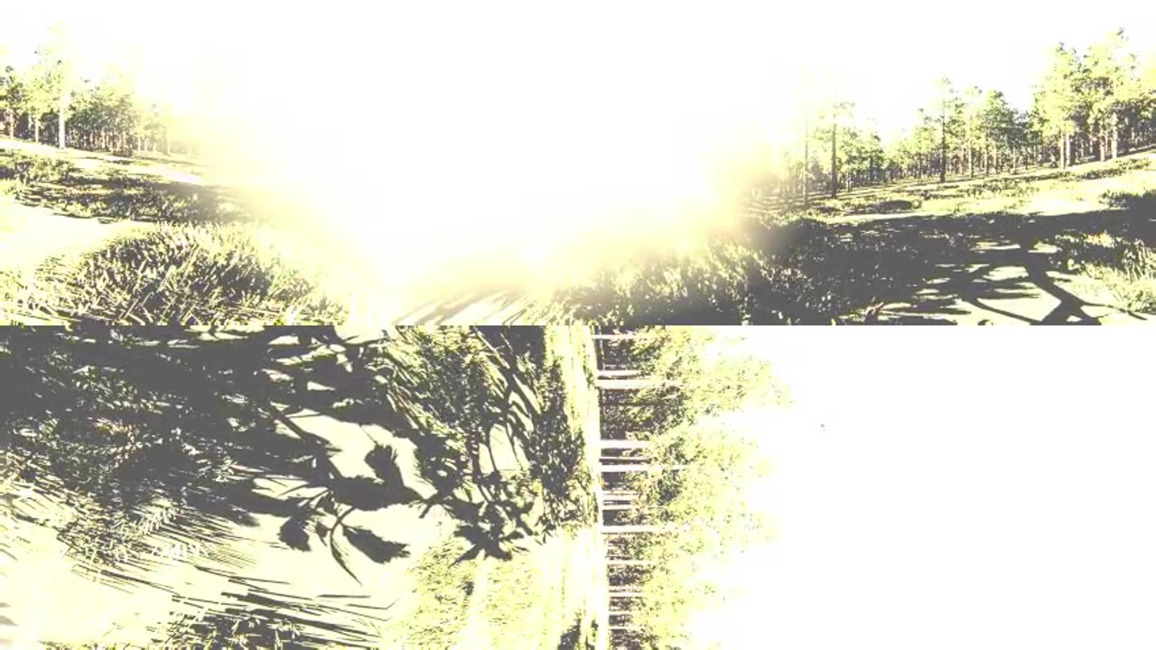 Real Life Asteroid Impact in VR | Asteroid Day