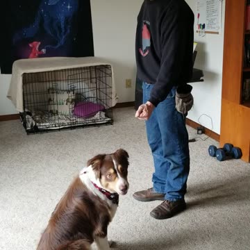 Please give a warm welcome to Forrest!!