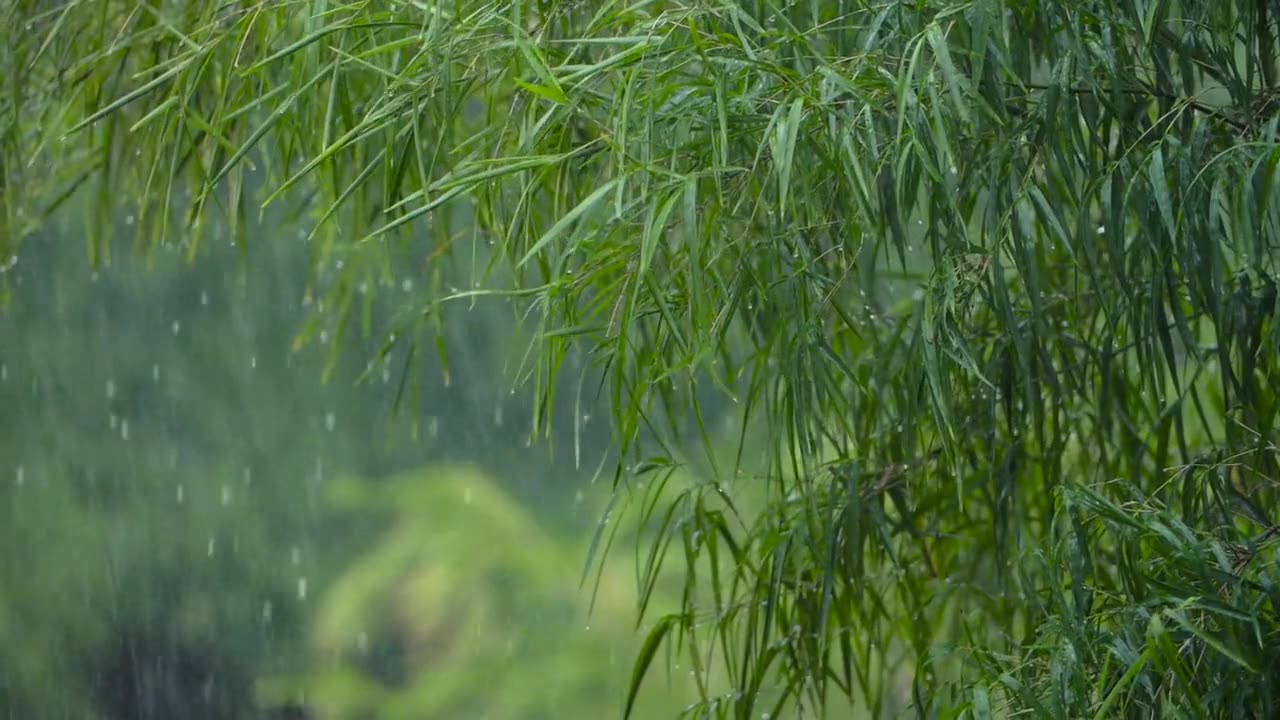 Dancing in the Rain: Captivating Moments of Rainfall