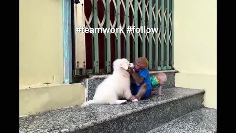 Smart Bibi Babysitting Little Lala