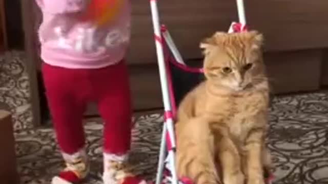 Baby and cat