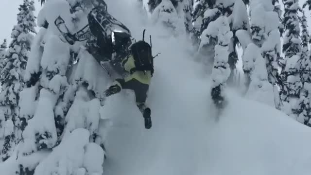 Green jacket guy rides snowmobile up hill flips over