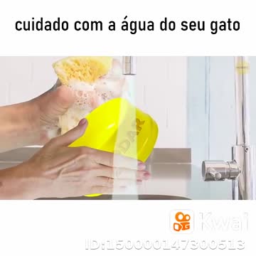 cuidado com a agua do gato